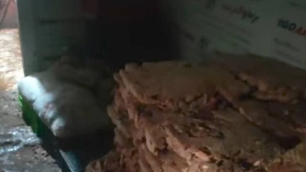 جانب من المظبوطات 
