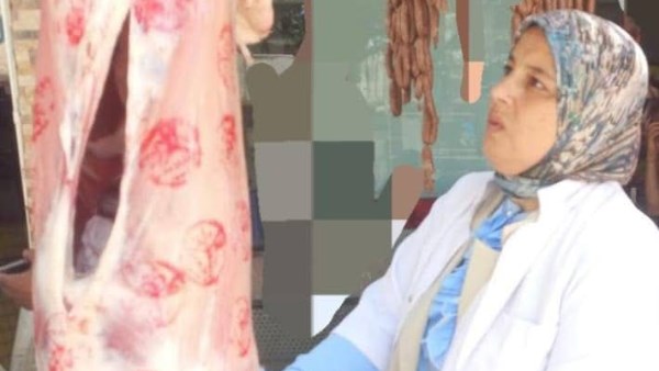 مديرية الطب البيطري بمحافظة السويس حملاتها التفتيشية على محال بيع وتداول اللحوم والأسواق