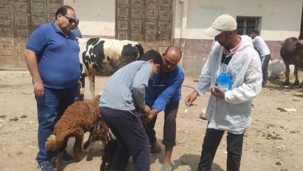 الرعايه الطبية بالبحيرة 