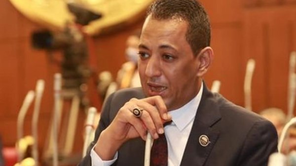 النائب اسامه الهواري عضو مجلس الشيوخ