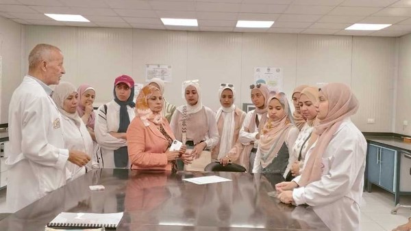 الدكتورة أسماء أنور رئيس قسم بحوث النحل