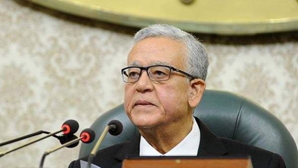 " النواب" يحذر من محاولاتِ البعض تنظيم مسيرات أو التوجه إلى المناطق الحدودية المصرية دون التنسيق المسبق