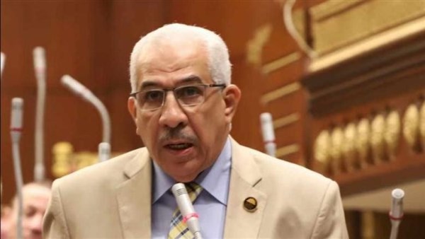 النائب مجدى سليم