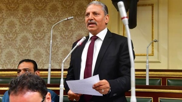 اللواء إبراهيم المصري