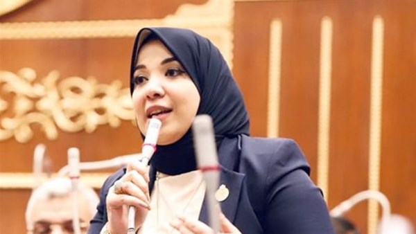 النائبة دينا هلالي: احتقان المشهد الإقليمي نتيجة غياب الحلول السياسية ومصر تواصل تقديم نموذج السياسة المتزنة