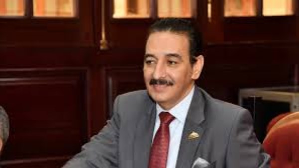 عضو بالشيوخ : بيان الخارجية  يعكس الثوابت المصرية في الدفاع عن القضية الفلسطينية