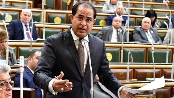 النائب سليمان وهدان: الرئيس السيسي صمد أمام كل التحديات في ظل ظروف اقتصادية صعبة