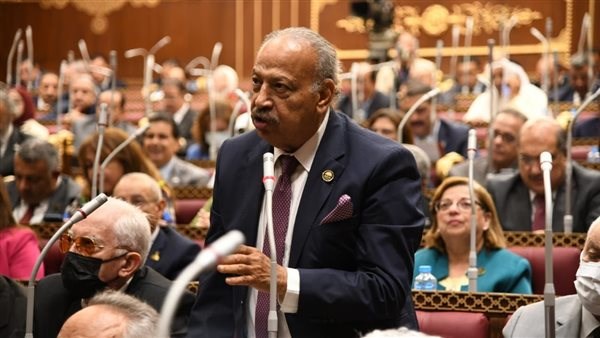 النائب هاني العسال: بيان  الـ21 دولة أكد على احترام سيادة الدول وحذر من استمرار غطرسة الكيان الصهيوني 