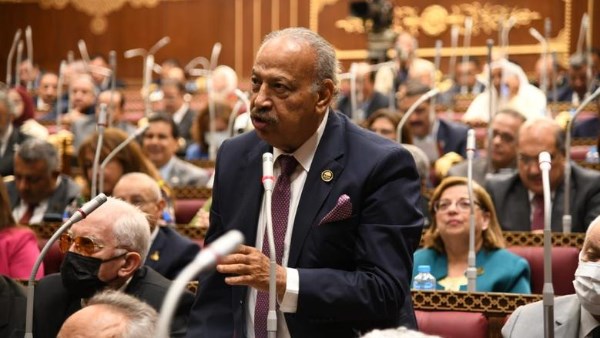 النائب هاني العسال: مكافحة ظاهرة التنمر والعنف داخل المدارس أهم أولويات ملفات وزارة التربية والتعليم 