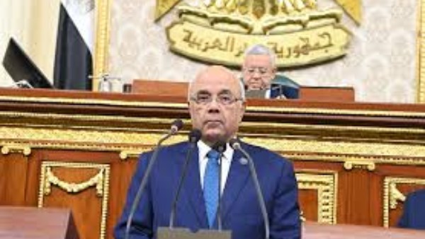 النائب محمد الفيومي