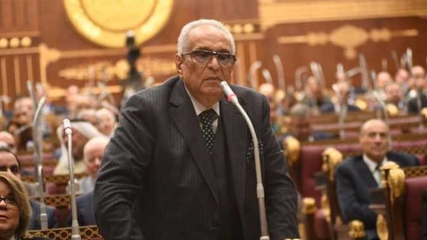 أبوشقة يطالب بتكاتف الأسرة والإعلام والأزهر والكنيسة لمواجهة ظاهرتي التنمر والتحرش