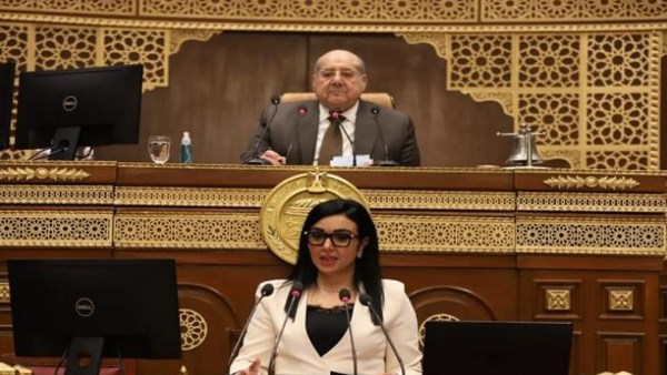 النائبة ريهام عفيفي تطالب بمناقشة حكومية حول مواجهة التحرش في المدارس