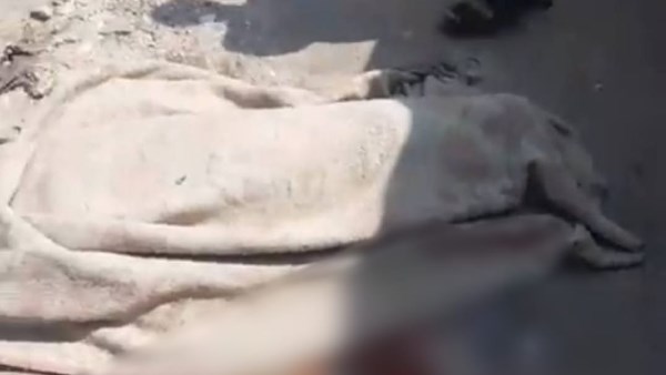 مصرع شخص دهسًا أسفل عجلات سيارة في حلوان