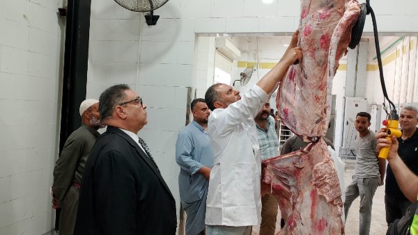 مجازر الدقهليه مجازر الدقهليه