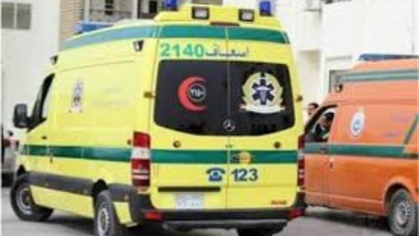 مصرع سائق وطفل في حادث بوادي النطرون مصرع سائق وطفل في حادث بوادي النطرون
