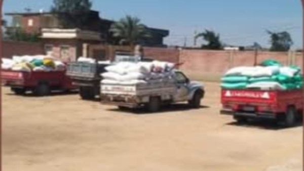 توريد القمح في البحيرة 