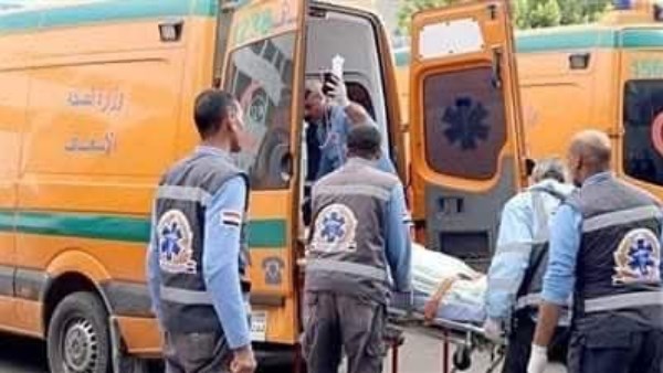 عامل ينهي حياة زوجته بالبحيرة 