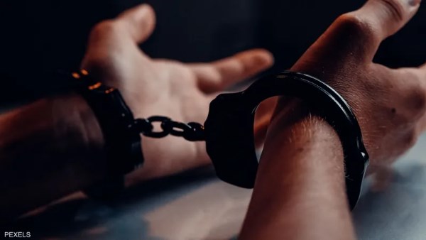 عنصر إجرامي