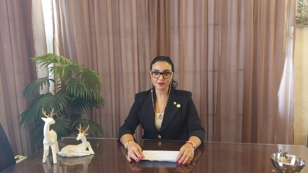 النائبة ريهام عفيفي
