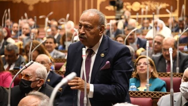 النائب هاني العسال عضو مجلس الشيوخ