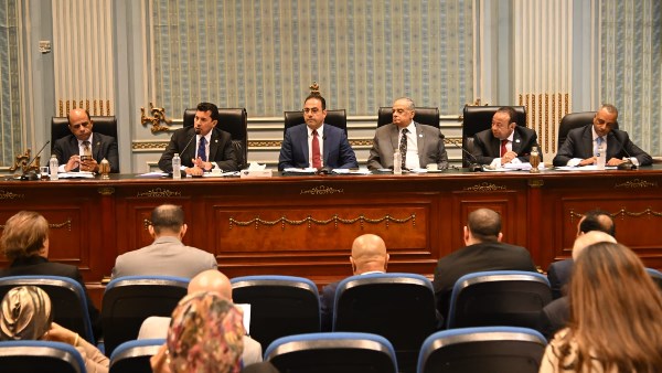 لجنة الشباب والرياضة بمجلس النواب توافق في المجموع على قانون الرياضة