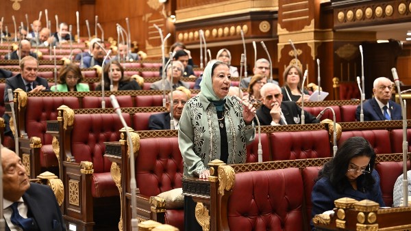 النائبة حياة خطاب، عضو مجلس الشيوخ