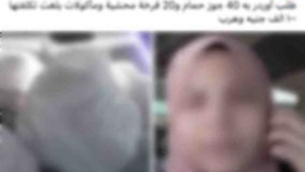 ضبط شخصين حاولا الاحتيال على سيدة بزعم التوريد لفندق شهير بالمعادى