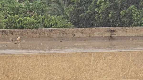 أول تعليق من «الأرصاد» بعد تداول مقاطع فيديو عن سقوط أمطار بالقاهرة
