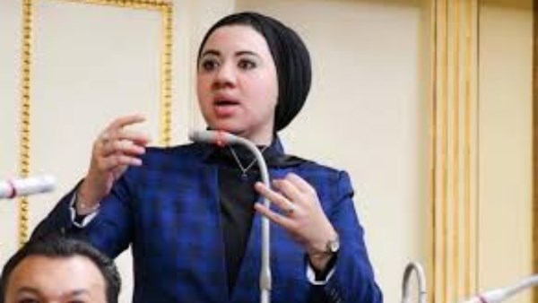 البرلمان يوافق على استقالة النائبة أميرة صابر لخوض انتخابات الشيوخ