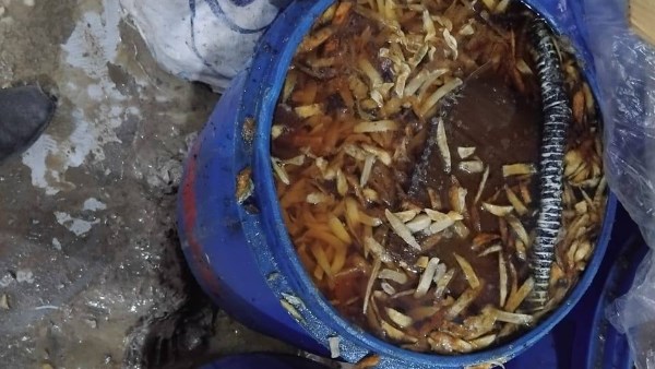 «مجهولة المصدر».. ضبط كيان مخالف لإنتاج «البطاطس نصف المقلية» باستخدام زيوت منتهية الصلاحية بالمنوفية