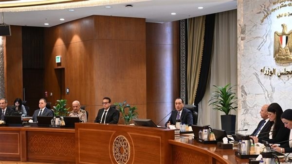 جانب من اجتماع الحكومة 