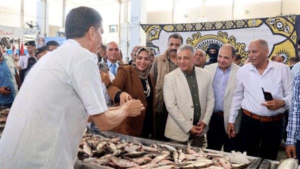 محافظ الاسماعيلية 