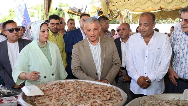 محافظ الاسماعيلية 