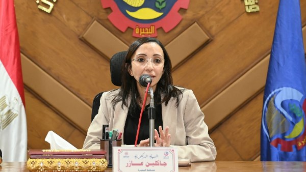 انتخابات مجلس الشيوخ 