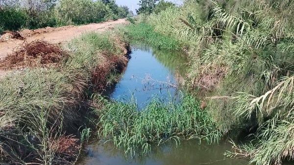 محافظة البحيرة 