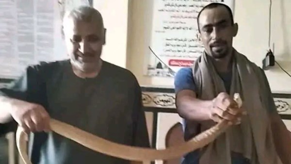 العثور على كوبرا داخل مسجد بشبراخيت 