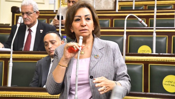  النائبة مها عبد الناصر