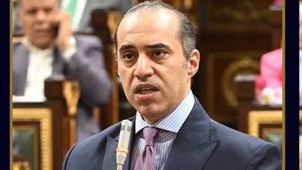 محمود فوزي 