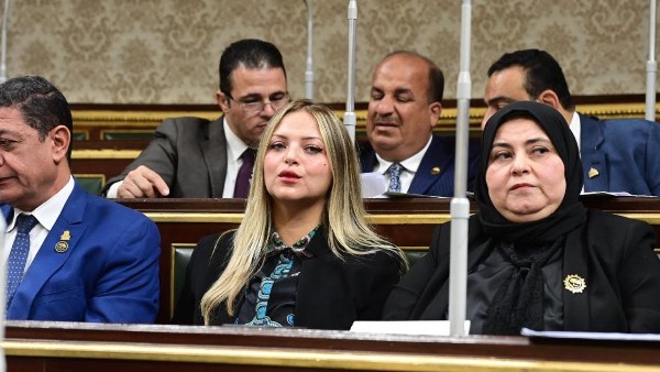 مي أسامة رشدي، عضو مجلس النواب