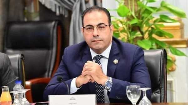 النائب الدكتور محمود حسين رئيس اتحاد شباب المصريين بالخارج 