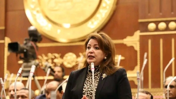 الدكتورة سماء سليمان، وكيل لجنة الشؤون الخارجية والعربية والأفريقية بمجلس الشيوخ