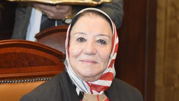 النائبة حياة خطاب، عضو مجلس الشيوخ