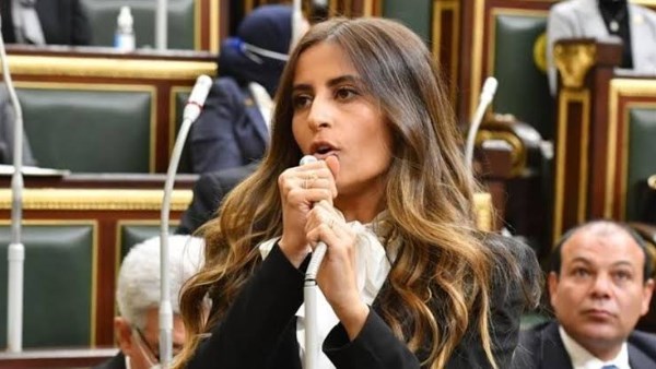 النائبة إيلاريا سمير حارص، عضو لجنة العلاقات الخارجية بمجلس النواب