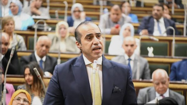 المستشار محمود فوزي 