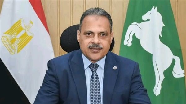 المهندس حازم الأشمونى محافظ الشرقية