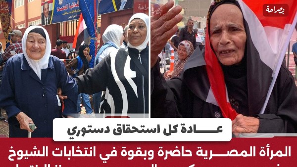 انتخابات الشيوخ