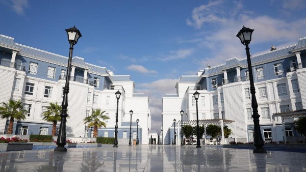 جامعة سيناء جامعة سيناء
