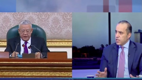 المستشار محمود فوزي
