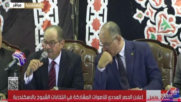 .. الحصر العددي لانتخابات مجلس الشيوخ