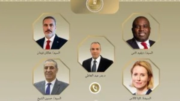 د. بدر عبد العاطي وزير الخارجية